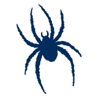 Georgia Tech Women Logo