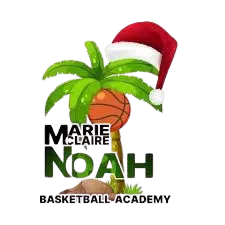 MC Noah Yaounde logo