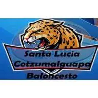 Antigua GFC Primera Logo