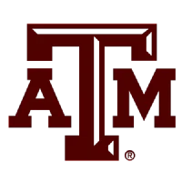 Texas AM International Logo