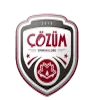 Cozum Logo