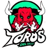 Toros del Valle logo