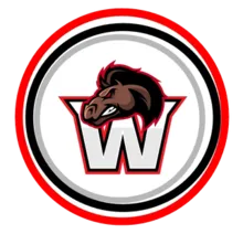 Basket Team Waregem Logo