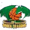 Lions Logo