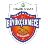 Anadolu Efes Istanbul Logo