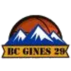 Gines 29 Logo