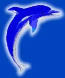 PCU Dolphins Logo