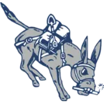 Colorado School of Mines Women Logo