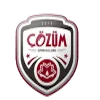 Kozum Ankara College Logo