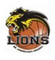 BK Lions Jindrichuv Hradec Logo