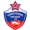 Babaeskispor Logo