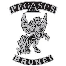 Pegasus Brunei Logo