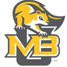 Team logo