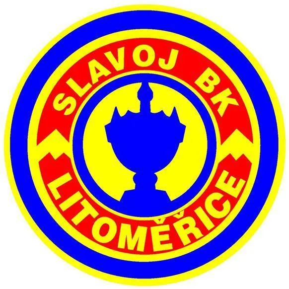 Litomerice Logo