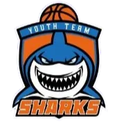 Shanghai Youth United Team logo