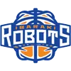 Team logo