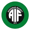 Nordberg 1 Logo
