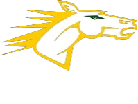 state university of new york at delhi