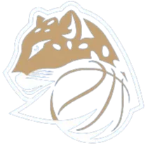 Levhartice Chomutov B Women Logo