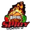 Bicol Spicy Oragons Logo