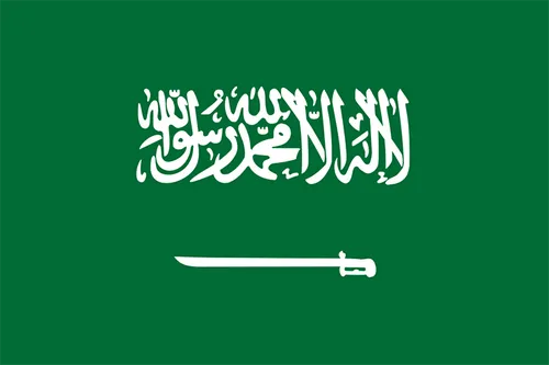 Saudi Arabia logo 