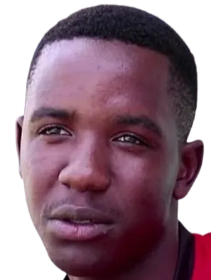 Wesley Madhevere logo