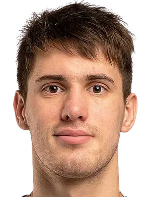 Vladimir Pisarskiy logo