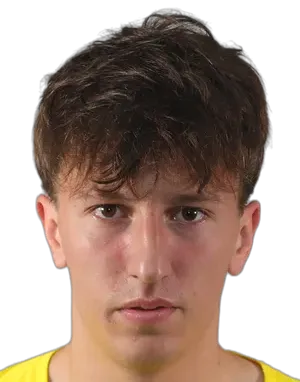 Vadim Martinkevich logo