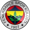 Fenerbahce U17 logo