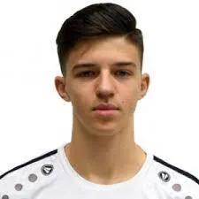 Tarik Muharemović logo