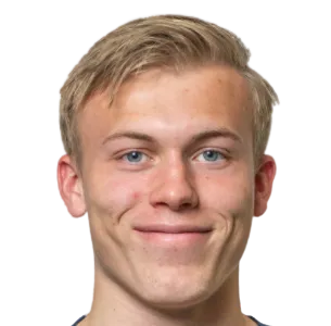 Albert Palmberg Thorsen logo