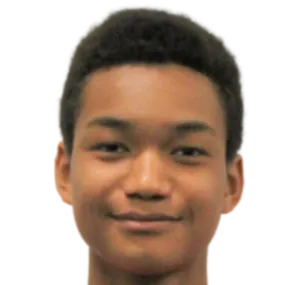 Nelson Ishiwatari logo