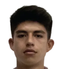 Gabriel Villamil logo