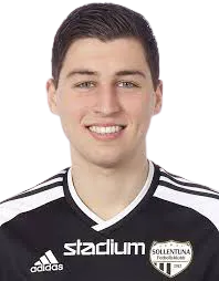 Luka Dobrijevic logo