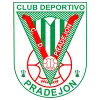 CD Pradejon  B (W) logo