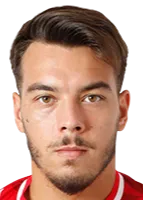 Mihai Neicuțescu logo