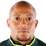 Dino Ndlovu logo