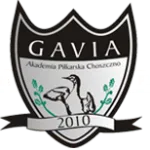 Gavia Choszczno logo