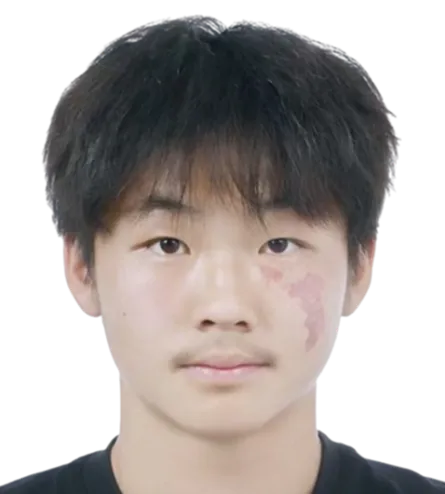 Li Mingjie portrait