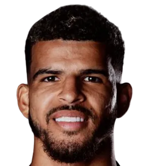 Dominic Solanke logo