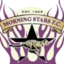 Morning Star logo