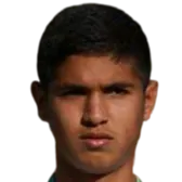 Mohammadreza Shakibkhou logo