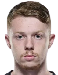 Daniel Wilmering logo