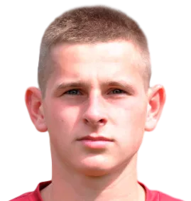 Demkov Stanislav logo