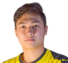 Taneli Heiskanen logo