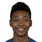 Wadi Ibrahim Suzuki logo