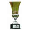 League Cup Winner Hong Kong logo