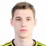 Vsevolod Nihaev logo