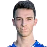 lovro banovec portrait