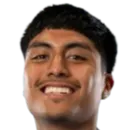 Nickolas Alfaro logo